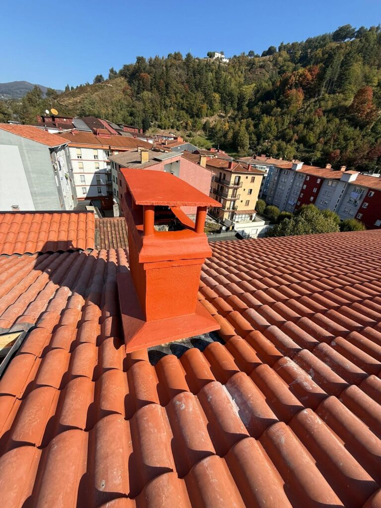 WhatsApp Image 2026-02-13 at 11.53.30